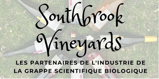 210512 InfoBio HC Southbrook Vineyards - Image 1 FR