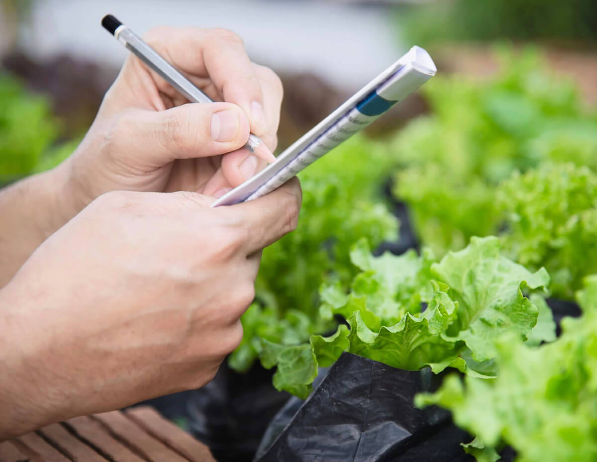 canadian-organic-standards-organic-federation-of-canada