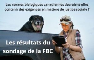 Introduire la justice sociale dans les Normes bio? Les résultats du sondage - Photo