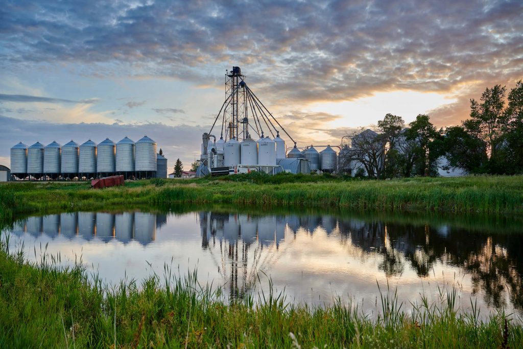 Prairie Heritage Seeds Featured Image - Organic Federation of Canada