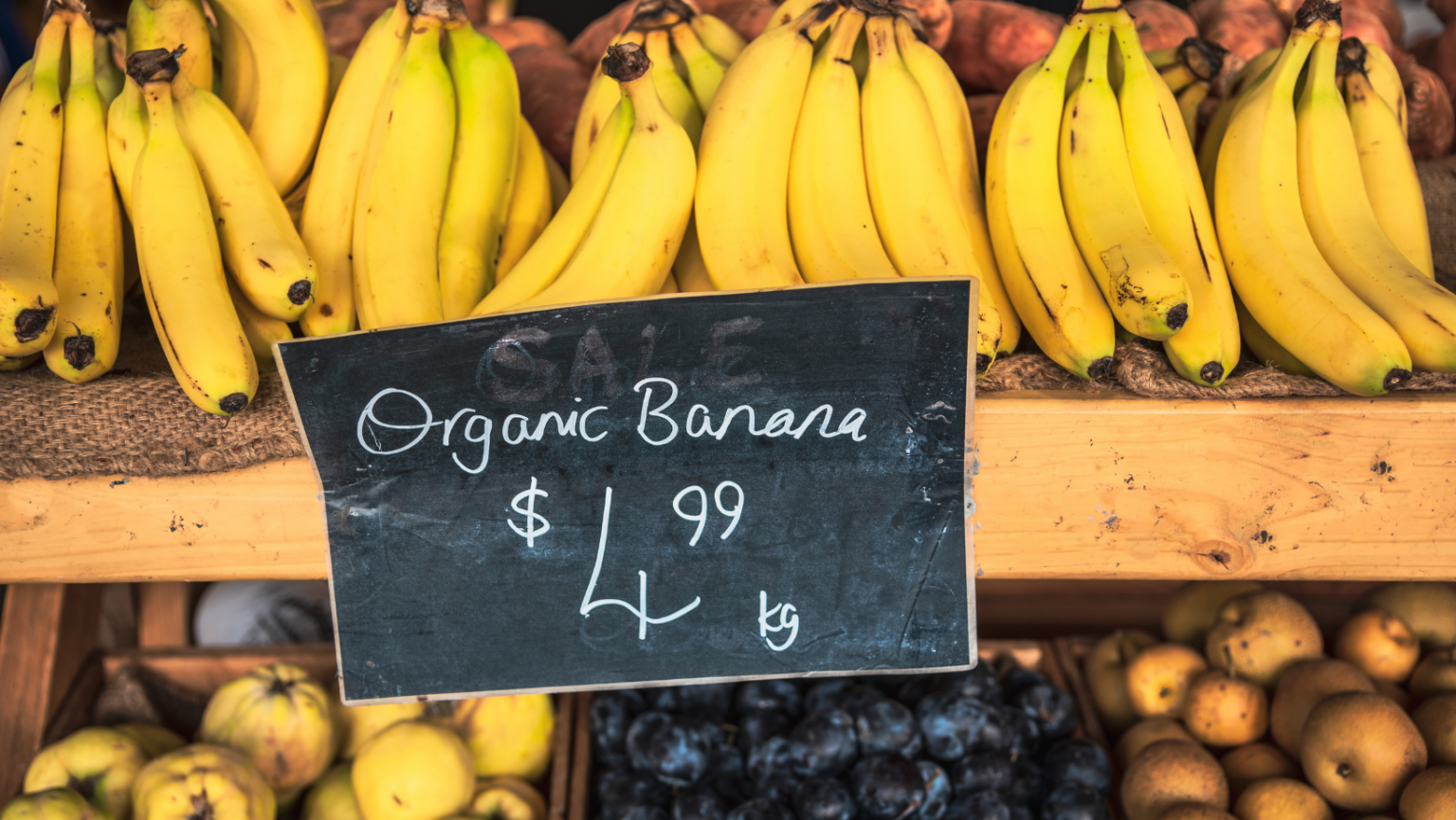 The Journey of an Organic Banana Organic Federation of Canada
