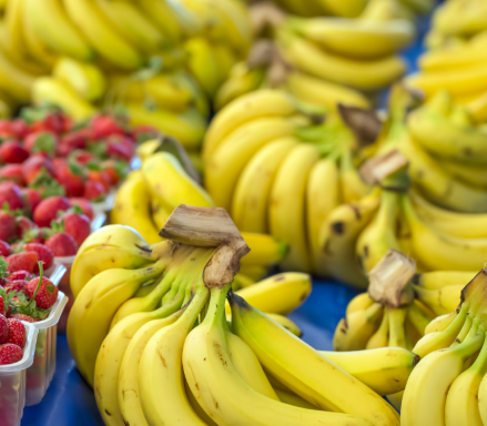 The Journey of an Organic Banana - Organic Federation of Canada